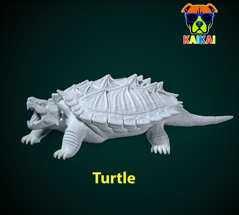 Alligator snapping turtle model - turtle statue - 3D print 3D 打印模型 .c4d .max .obj .3ds .fbx .stl .blend