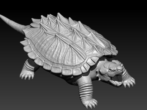 Alligator snapping turtle model - turtle statue - 3D print 3D 打印模型