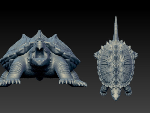 Alligator snapping turtle model - turtle statue - 3D print 3D 打印模型