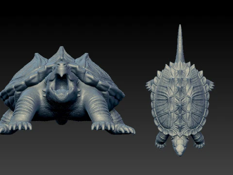 Alligator snapping turtle model - turtle statue - 3D print 3D Print Model