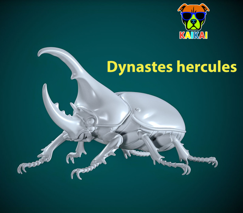 Dynastes hercules model - statue - 3D print 3D Print Model .c4d .max .obj .3ds .fbx .stl .blend