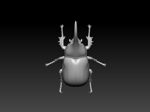 Dynastes hercules model - statue - 3D print 3D Print Model