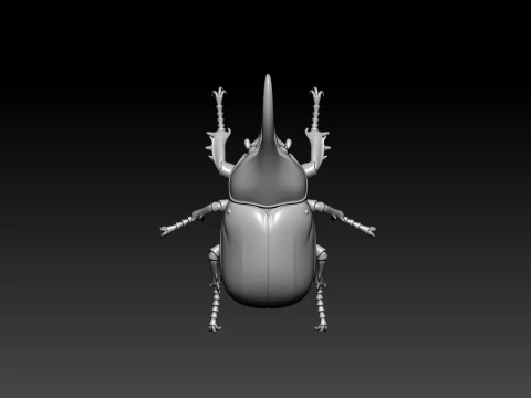 Dynastes hercules model - statue - 3D print 3D Print Model