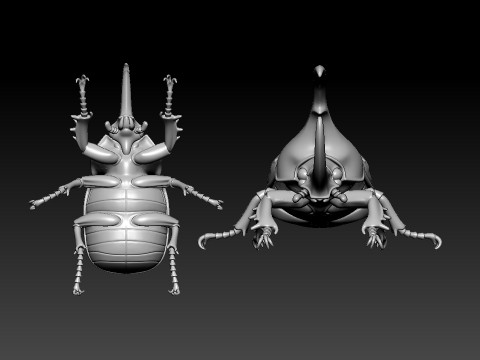 Dynastes hercules model - statue - 3D print 3D Print Model