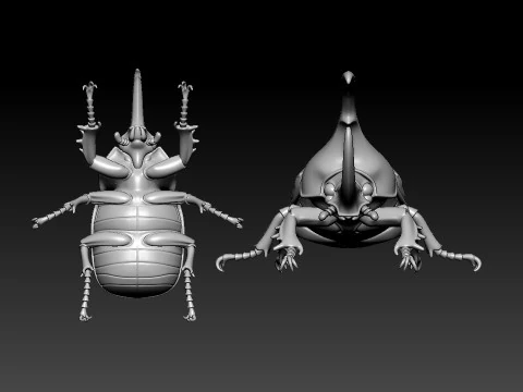 Dynastes hercules model - statue - 3D print 3D Print Model