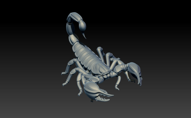 Desert scorpion model - 3D print 3D 打印模型 .c4d .max .obj .3ds .fbx .stl .blend