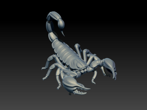 Desert scorpion model - 3D print 3D 打印模型