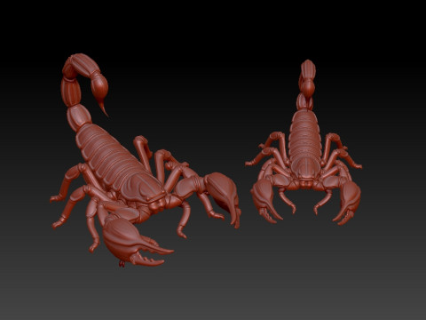 Desert scorpion model - 3D print 3D 打印模型
