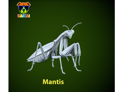Mantis statue - insect model - decor - 3D print 3D Print Model