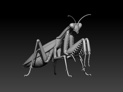 Mantis statue - insect model - decor - 3D print 3D Принт Модель
