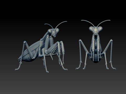 Mantis statue - insect model - decor - 3D print 3D Принт Модель