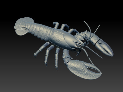 Lobster - SEA LIFE MODEL - 3D print Modelo de Impressão 3D