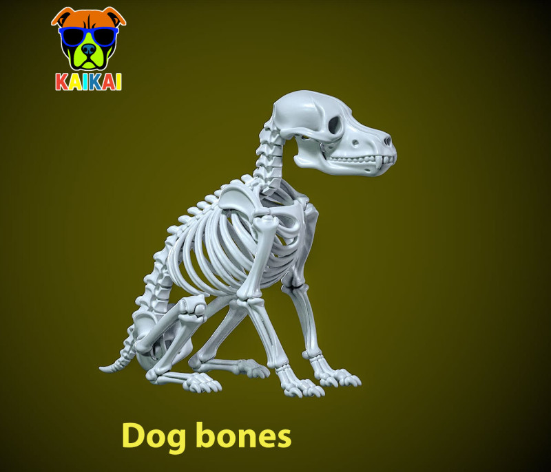 Dog Bones - Animal Bones model - statue - 3D print 3D Print Model .c4d .max .obj .3ds .fbx .stl .blend