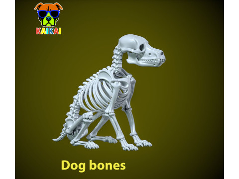 Dog Bones - Animal Bones model - statue - 3D print 3D Print Model