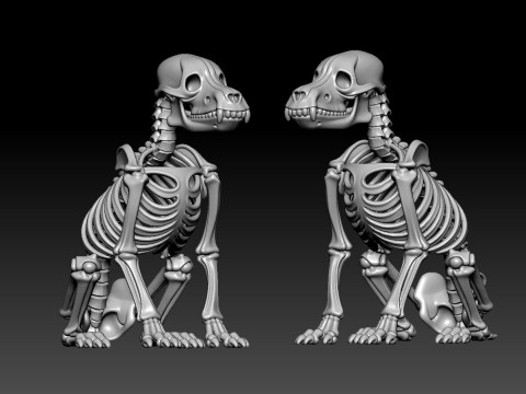 Dog Bones - Animal Bones model - statue - 3D print 3D Print Model