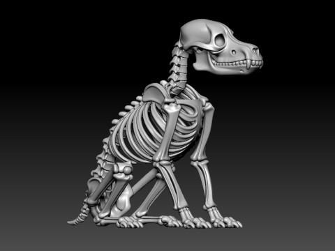Dog Bones - Animal Bones model - statue - 3D print 3D Print Model