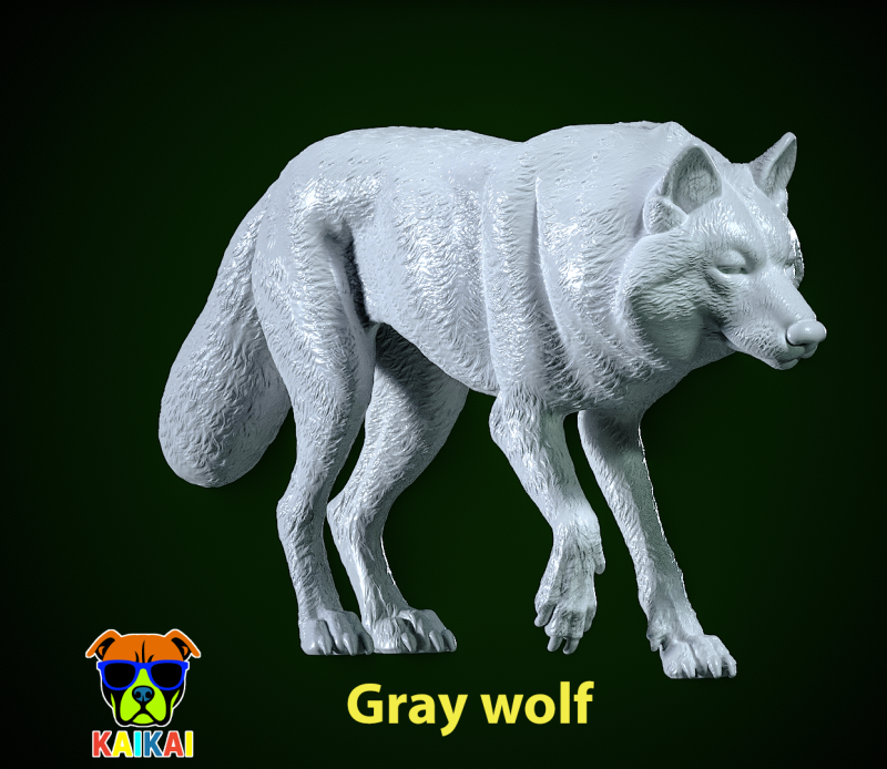 Gray wolf mode - wolf statue - decor - 3D print 3D Baskı Modeli .c4d .max .obj .3ds .fbx .stl .blend