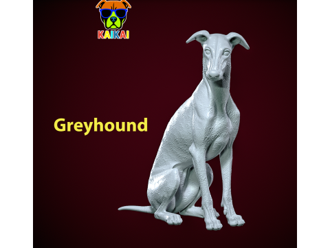 Greyhound breed - Dog greyhound racing model - 3D print 3D Принт Модель