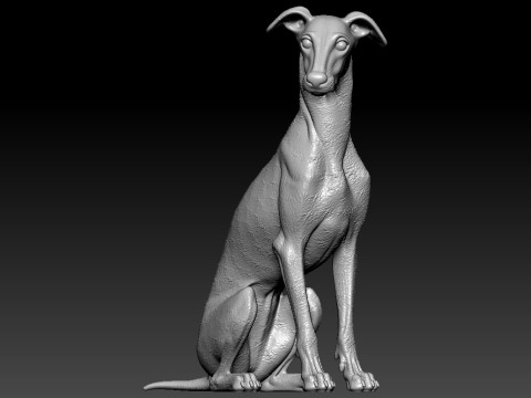 Greyhound breed - Dog greyhound racing model - 3D print Modello di stampa 3D