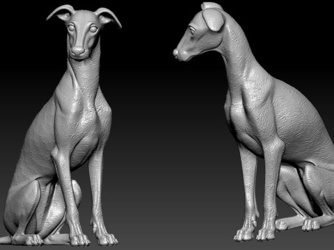 Greyhound breed - Dog greyhound racing model - 3D print Modello di stampa 3D