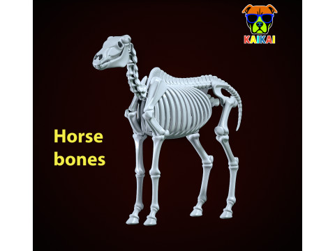 Decorative Horse Bones - Animal Bone Model - 3D print 3D Print Model