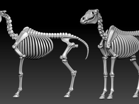 Decorative Horse Bones - Animal Bone Model - 3D print Modello di stampa 3D