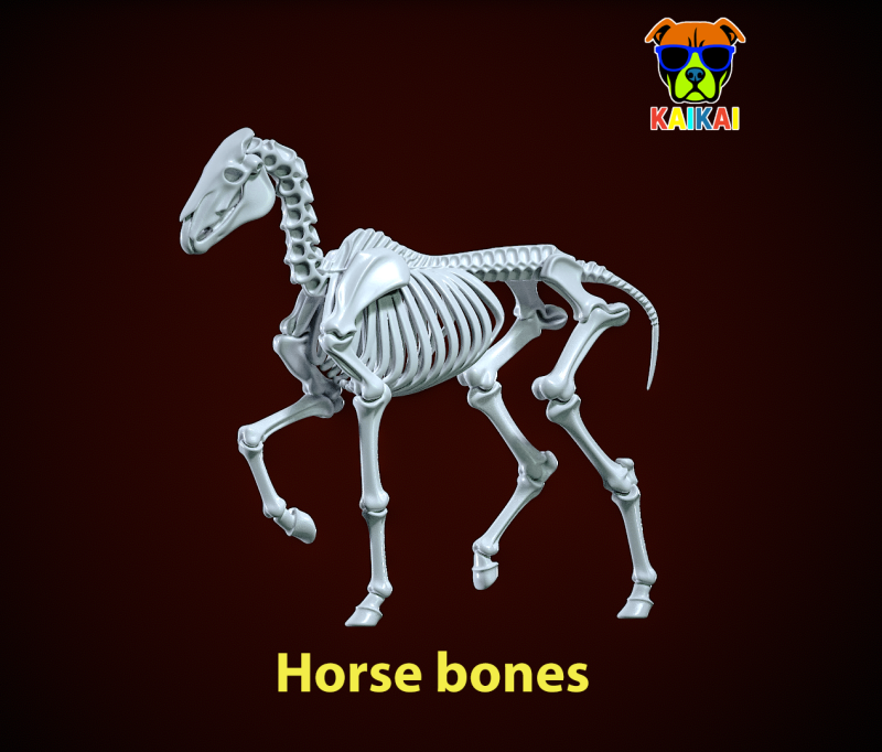 Horse Bones - Animal Bone Model - 3D print Modello di stampa 3D .c4d .max .obj .3ds .fbx .stl .blend
