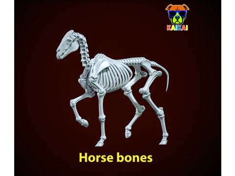 Kości konia - model kości zwierzęcia - druk 3D Model do druku 3D