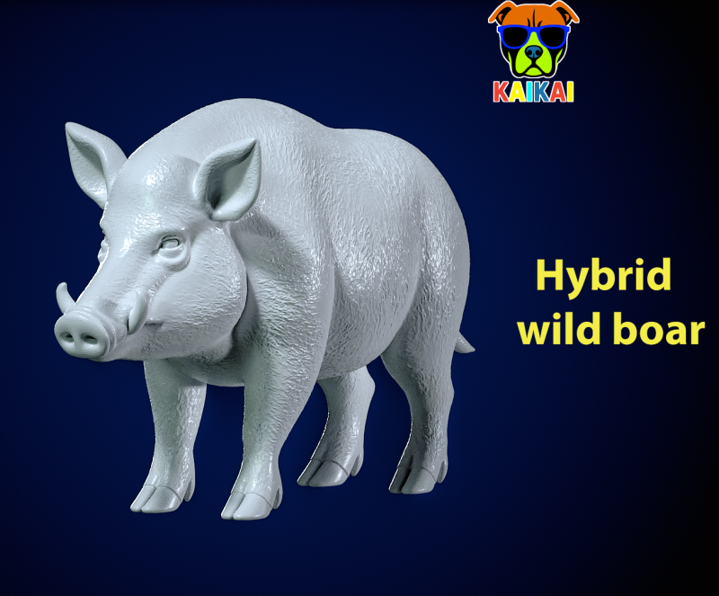 Wild boar model - hybrid wild boar statue - 3D print 3D-printmodel .c4d .max .obj .3ds .fbx .stl .blend