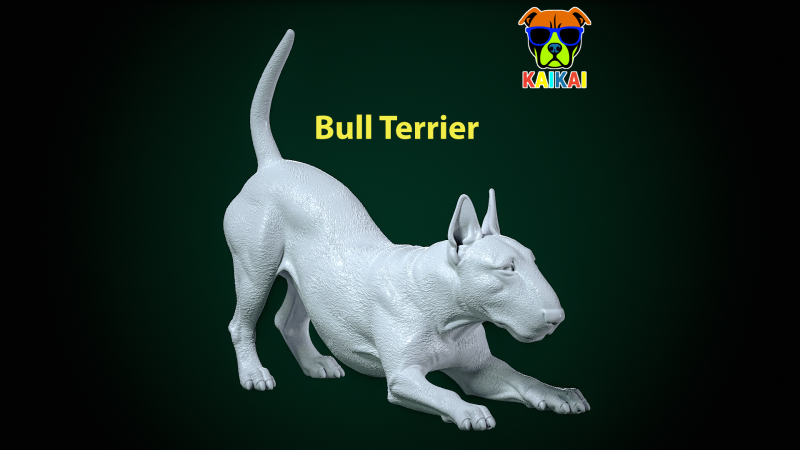 Bull Terrier Dog model - Bully Dog statue - 3D print 3D प्रिंट मॉडल .c4d .max .obj .3ds .fbx .stl .blend