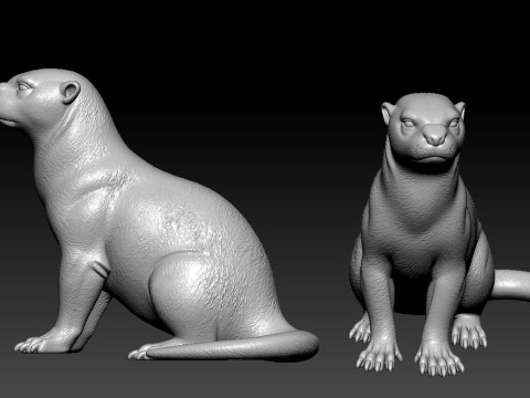 Otter statue - Carnivorous mammal model - 3D print 3D प्रिंट मॉडल