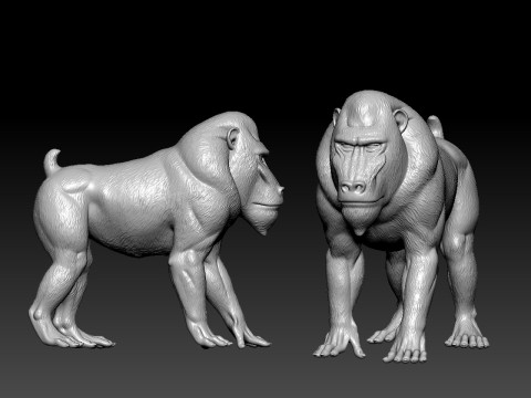 Baboon model - King Kong statue - Monkey decor - 3D print 3D Принт Модель
