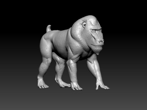 Baboon model - King Kong statue - Monkey decor - 3D print 3D Принт Модель