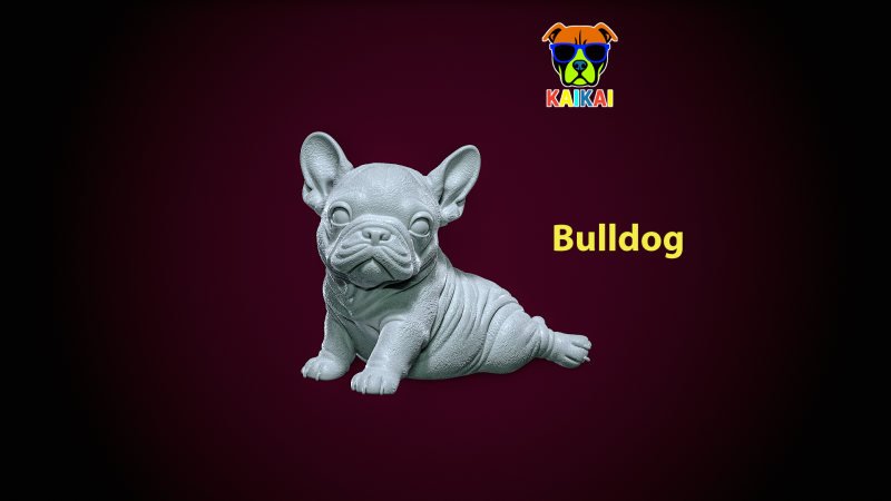 Bulldog model - america bully dog - 3D print 3D-printmodel .c4d .max .obj .3ds .fbx .stl .blend