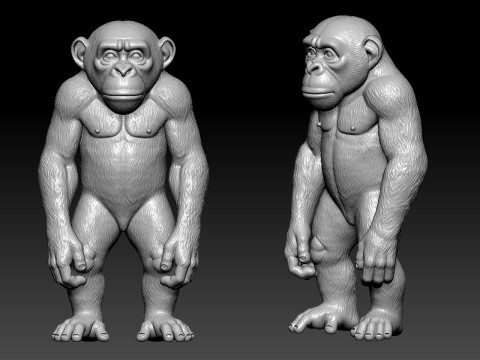 Monkey model - Kingkong statue - 3D print Modèles 3D en vedette