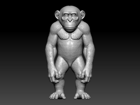 Monkey model - Kingkong statue - 3D print Modèles 3D en vedette