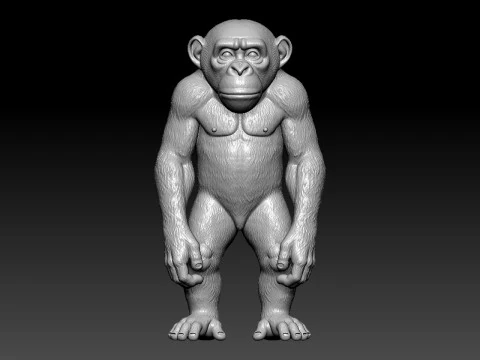 Monkey model - Kingkong statue - 3D print 3D Print Model