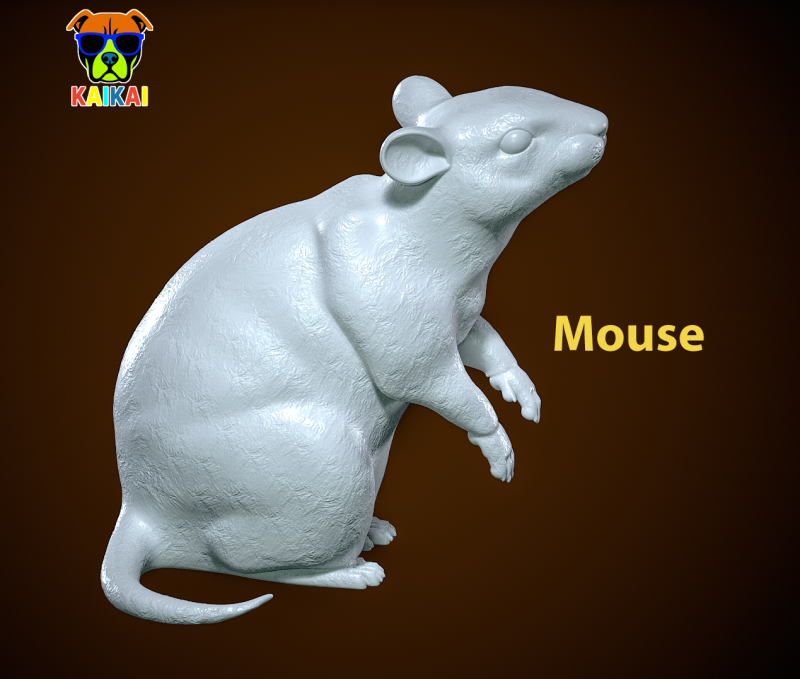 The mouse stands on its hind legs urban vibes 3D print 3Dプリントモデル .c4d .max .obj .3ds .fbx .stl .blend