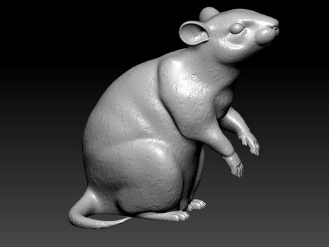 The mouse stands on its hind legs urban vibes 3D print 3Dプリントモデル