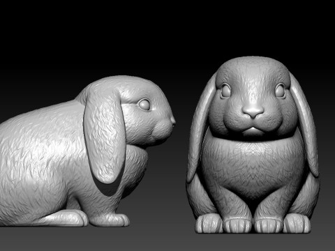 Floppy-eared rabbit urban vibes 3D Baskı Modeli