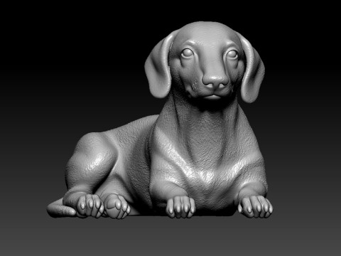 Dachshund in urban vibe - 3D print Model Cetak 3D
