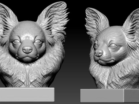 Papillon dog head Urban vibes decor Model do druku 3D