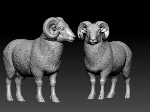 Sheep model - Goat statue urban vibes Modello di stampa 3D