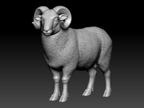 Sheep model - Goat statue urban vibes Modello di stampa 3D