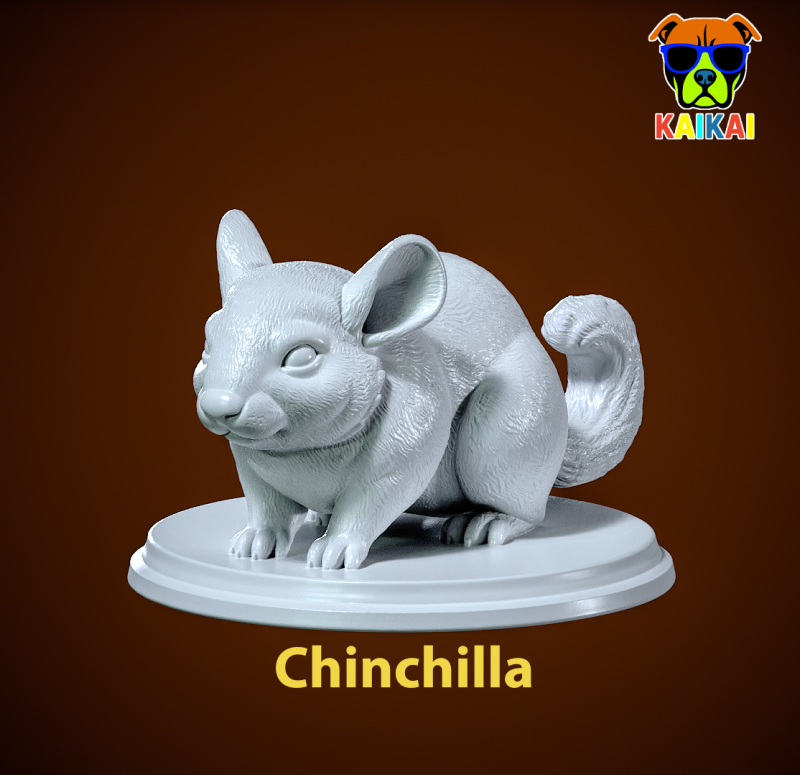 Chinchilla model urban vibes Modello di stampa 3D .c4d .max .obj .3ds .fbx .stl .blend