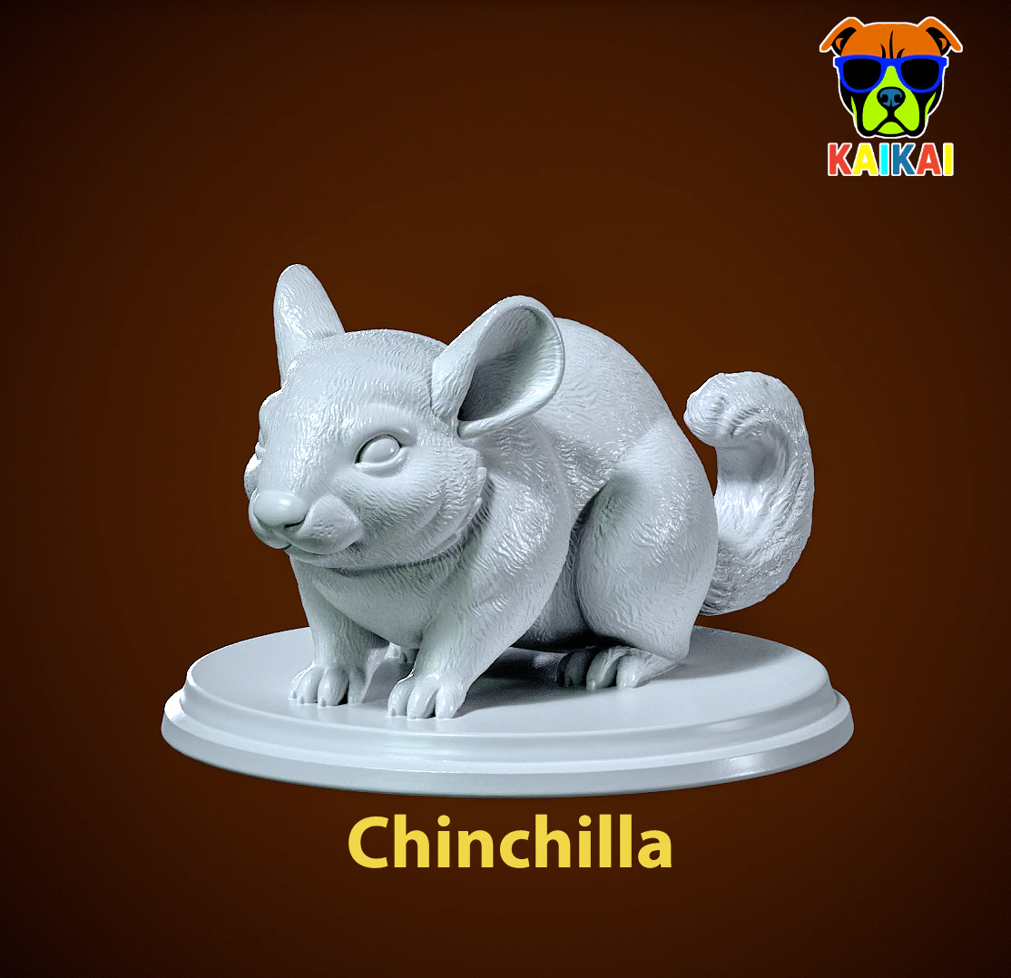Chinchilla model urban vibes 3D Print Model .c4d .max .obj .3ds .fbx .stl .blend