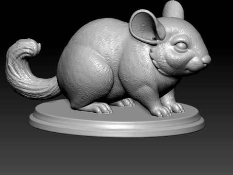 Chinchilla model urban vibes Modello di stampa 3D