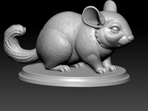 Chinchilla model urban vibes 3D Print Model