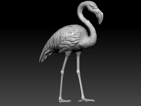 Crane model - flamingos urban vibes 3D 프린트 모델