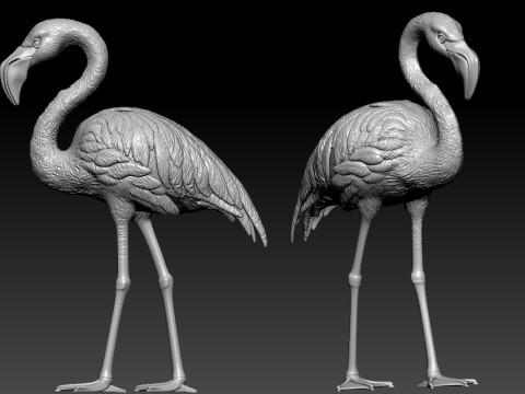 Crane model - flamingos urban vibes 3D 프린트 모델